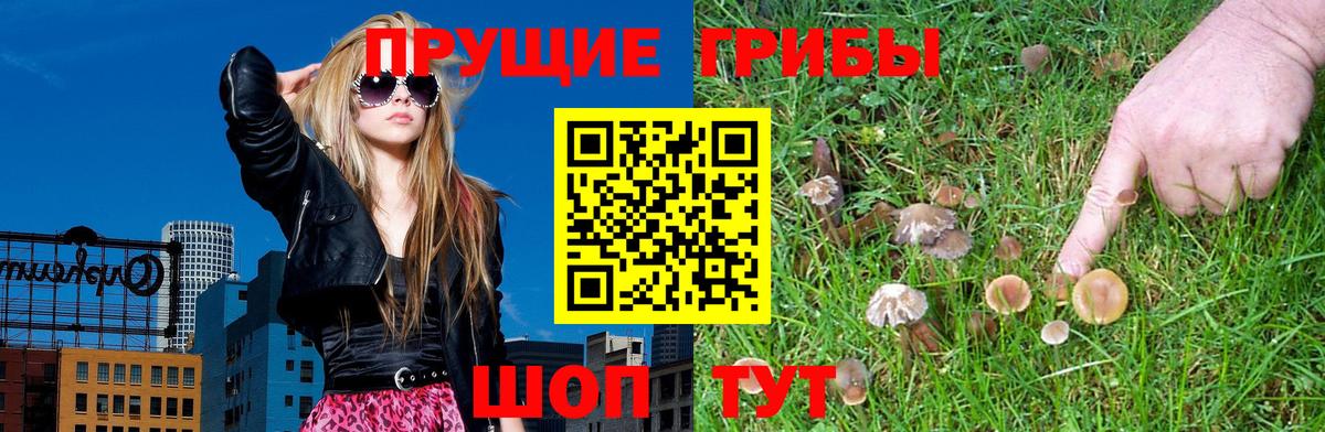 Костомукша  Псилоцибиновые грибы GOLDEN TEACHER  Галлюциногенные грибы GOLDEN TEACHER  Вход с VPN 